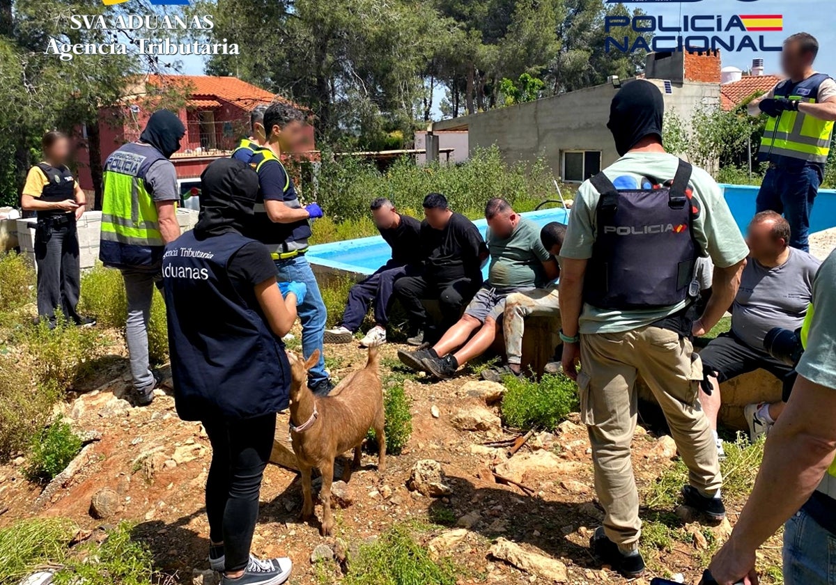Imagen de miembros de la banda de traficantes de cocaína desmantelada en Valencia