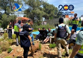La Policía Nacional acaba con una red de traficantes que 'cocinaba' 30 kilos de cocaína al día en Valencia