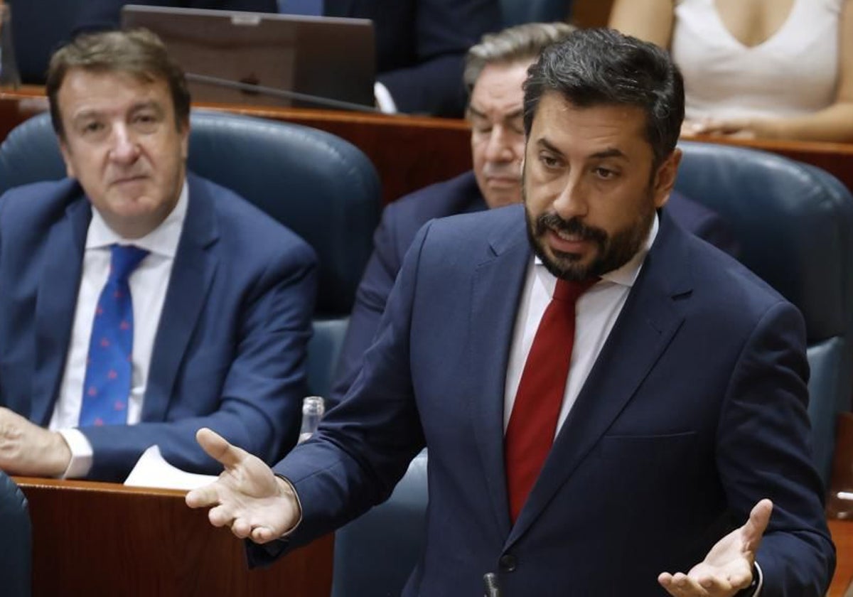 El portavoz del PP en la Asamblea, Carlos Díaz-Pache