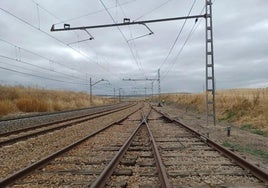 Adjudican la ampliación de vías en la estación de Pedro Abad para la autopista ferroviaria