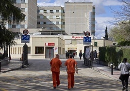 Una pareja de expertos delincuentes, detenida tras secuestrar a su bebé recién nacido de la Maternidad de O'Donnell