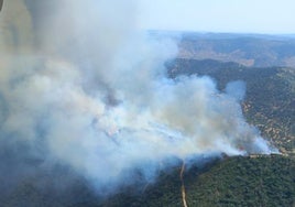 Aviones y efectivos del Infoca logran estabilizar el fuego en Villaviciosa de Córdoba tras ocho horas de combate