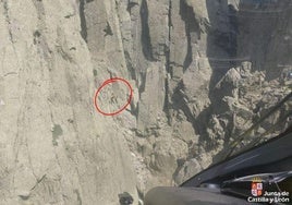 El accidente se produjo en una zona inaccesible para vehículos por tierra