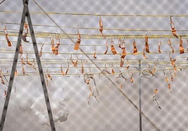 Horario y ubicación de la mascletà en Valencia por el Corpus Christi el domingo 22 de junio