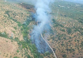 El Infoca da por estabilizado el incendio forestal declarado en Montoro