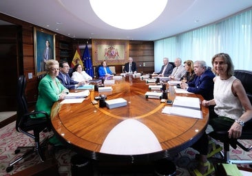 Pleno del Tribubnal Constitucional