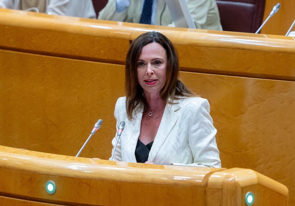 Andalucía pide una ley que «permita desalojos exprés y refuerce la protección a las víctimas» ante los okupas