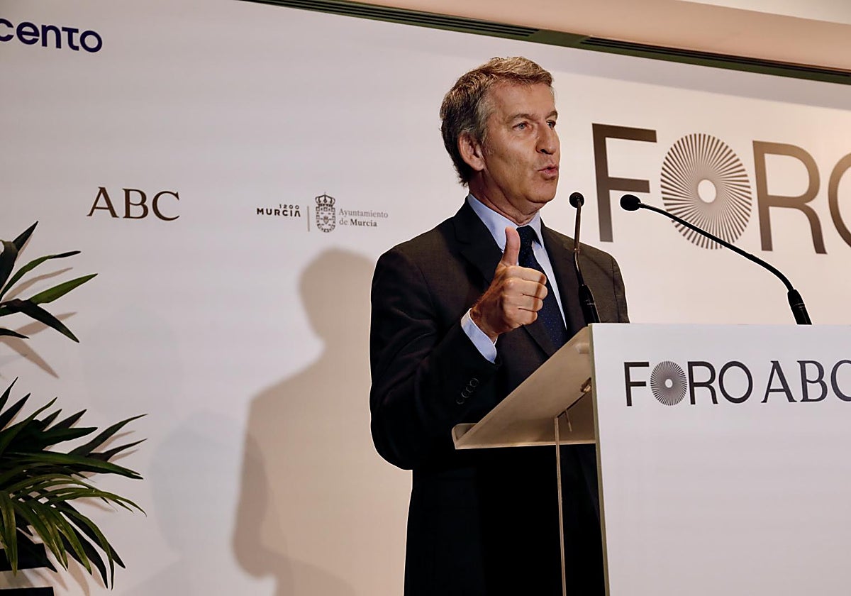 Alberto Núñez Feijóo, líder del Partido Popular