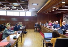 El PP cita a Juan Francisco Serrano, Gaspar Zarrías y Ana María Fuentes en la 'comisión Koldo' del Senado