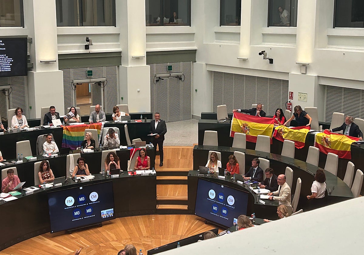 'Guerra' de banderas en el Pleno: el PSOE cuelga en su bancada la ...