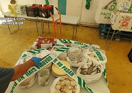 La Guardia Civil inspecciona más de 1.300 kilos de alimentos e interpone 150 denuncias en las ferias de Cádiz
