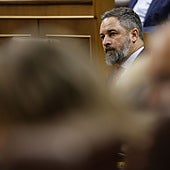 Abascal señala al PP y a los magistrados conservadores del TC como corresponsables de la ley de amnistía