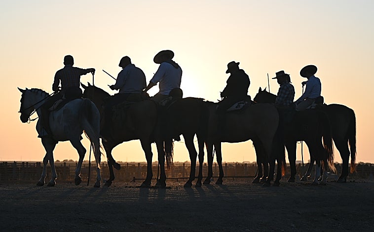 Imagen principal - Doñana revive la ancestral &#039;Saca de Yeguas&#039;, un rito que une tradición, cultura y turismo