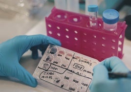El cáncer continúa siendo la primera causa de muerte en la Comunidad Valenciana