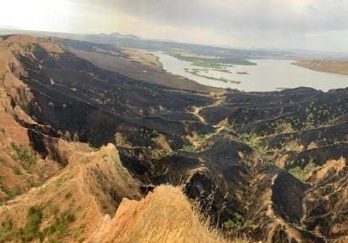 Imagen de Las Barrancas tras el incendio del pasado 16 de junio