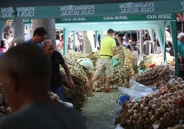 La Feria del Ajo de Zamora ofrece 800 toneladas de producto local, de Palencia y Badajoz