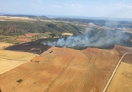 Controlado el incendio en Cihuela (Soria) tras quemar una superficie de 8,7 hectáreas