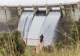 El verano arranca con los embalses en su máximo de los últimos doce años