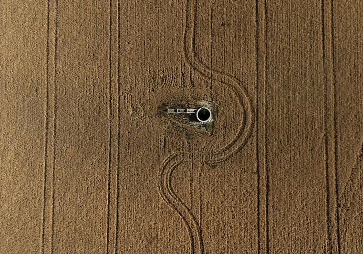 Un campo de cereales en la provincia de Córdoba