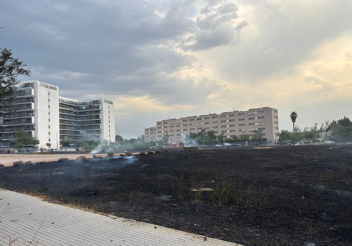 El solar pasto de las llamas en la avenida Virgen de las Angustias