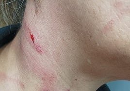 Brutal agresión a una funcionaria de la cárcel de Picassent: «Te tengo que matar»