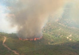 Preocupación por un segundo incendio en la Sierra de Andújar en menos de 24 horas