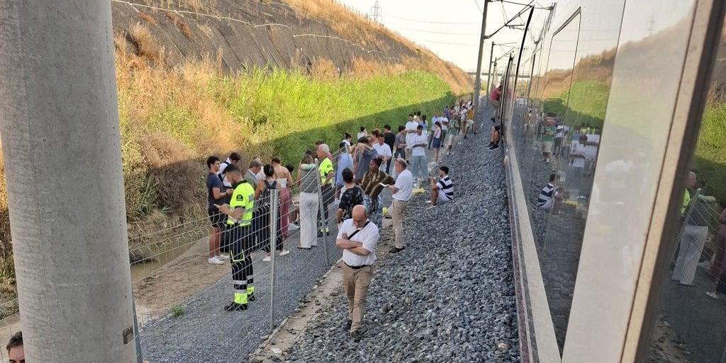 Restablecida la circulación ferroviaria entre Madrid y Andalucía tras la reparación de la catenaria en Toledo