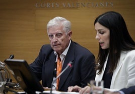 La comisión de la dana en las Cortes Valencianas empieza con el PSOE llamando «opinador» a un experto que criticó a Sánchez