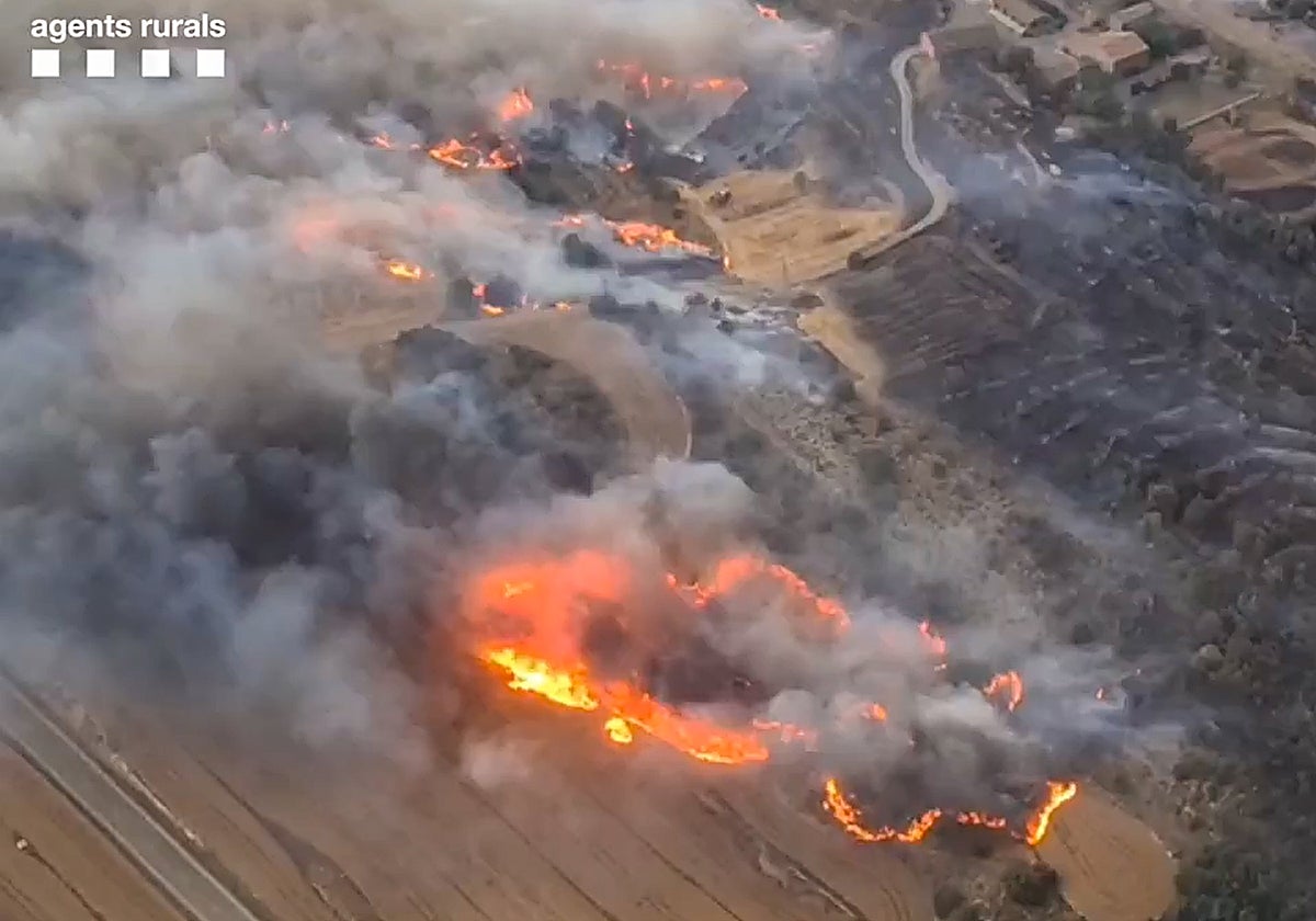 Los Bomberos de la Generalitat afrontan una difícil extinción de dos incendios simultáneos en la comarca de la Segarra, el de Torrefeta y Florejacs