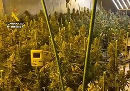 Detenidas nueve personas por tráfico de drogas y pertenecer a un grupo criminal en Yuncler