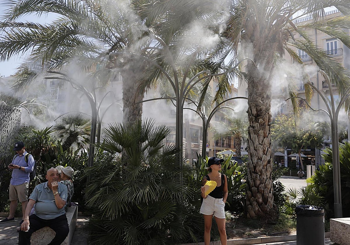 Imagen captada en un parque de una ciudad de la Comunidad Valenciana con las altas temperaturas de los últimos días