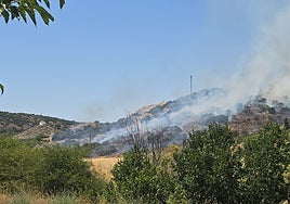 Controlado el incendio forestal en el paraje de Cerro Gordo en Cabra