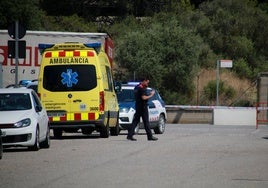Mossos d'Esquadra en el polígono del Valls (Tarragona) este martes