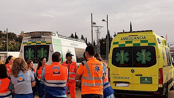 Cinco heridos al chocar un coche contra un jabalí en la A-92 a su paso por Granada
