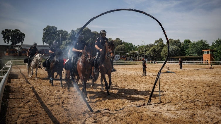 Caballería cumple 200 años: policías sin límites donde nadie más llega
