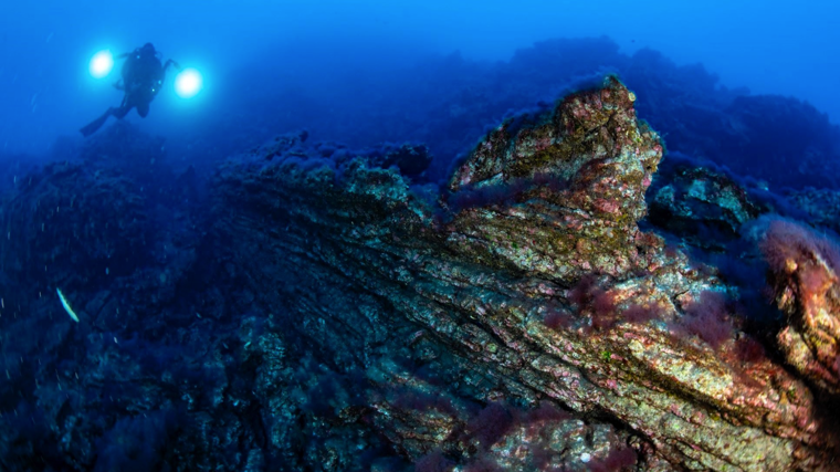 La impresionante resurrección de La Palma bajo el mar: así están las fajanas creadas por el volcán cuatro años después