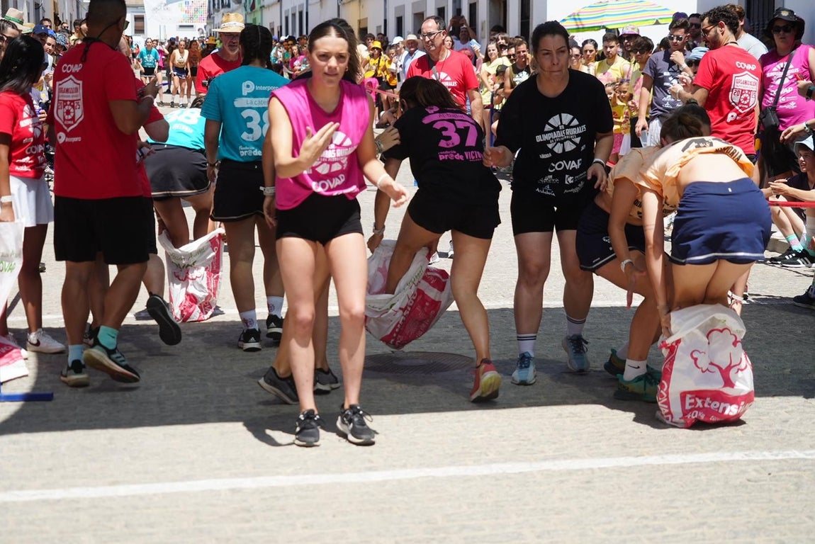 Las Olimpiadas Rurales reviven en Añora el juego más tradicional, en imágenes