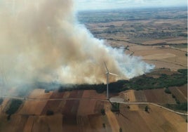 El viento complica la extinción de un incendio en San Pedro de Valderaduey (León)