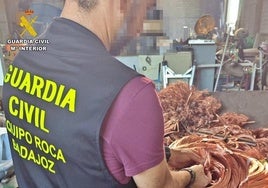 Investigan a cuatro personas por robar 47.000 metros de cables en la provincia de Badajoz