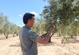 Mazón destina 29 millones a ayudas para favorecer el relevo generacional en la agricultura