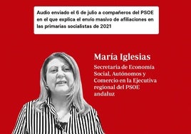 La fontanera del PSOE:  «Apoyaríamos a Periquito el de los Palotes antes que a Susana Díaz»
