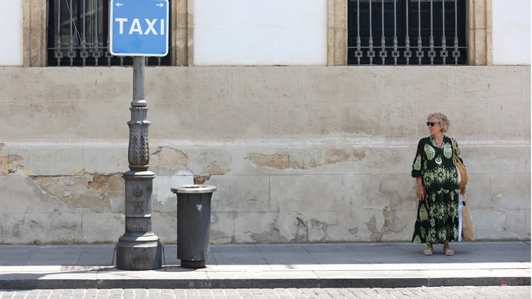 Córdoba actualizará con un estudio las licencias de taxi ante el crecimiento de la ciudad, el turismo y los eventos