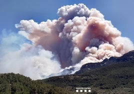 El fuego de Tarragona sigue activo pero los Bomberos consiguen que no penetre en el Parque Natural de Els Ports
