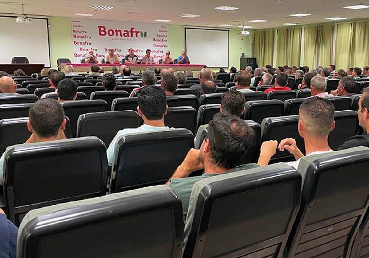 Gobierno, Junta de Andalucía y agricultores se reúnen este martes en Sevilla para concretar las ayudas del Pacto de Doñana