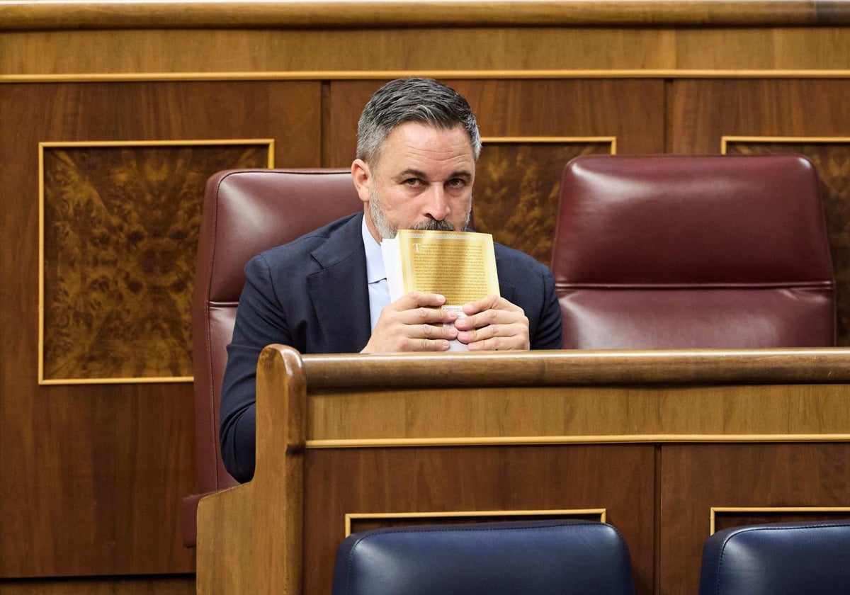 Santiago Abascal, líder de Vox, el pasado martes en el Congreso
