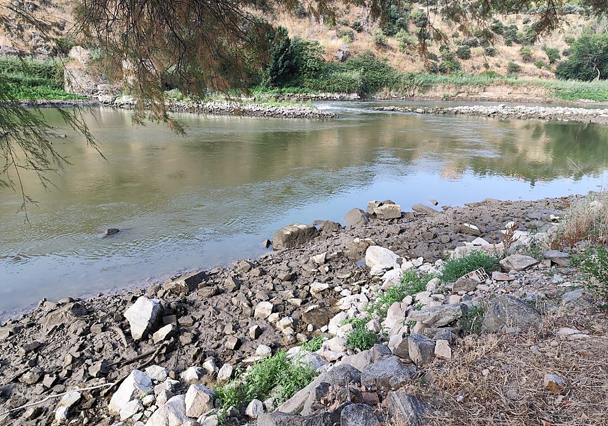 Imágenes del río Tajo del pasado martes cuando sufrió una importante variación del caudal