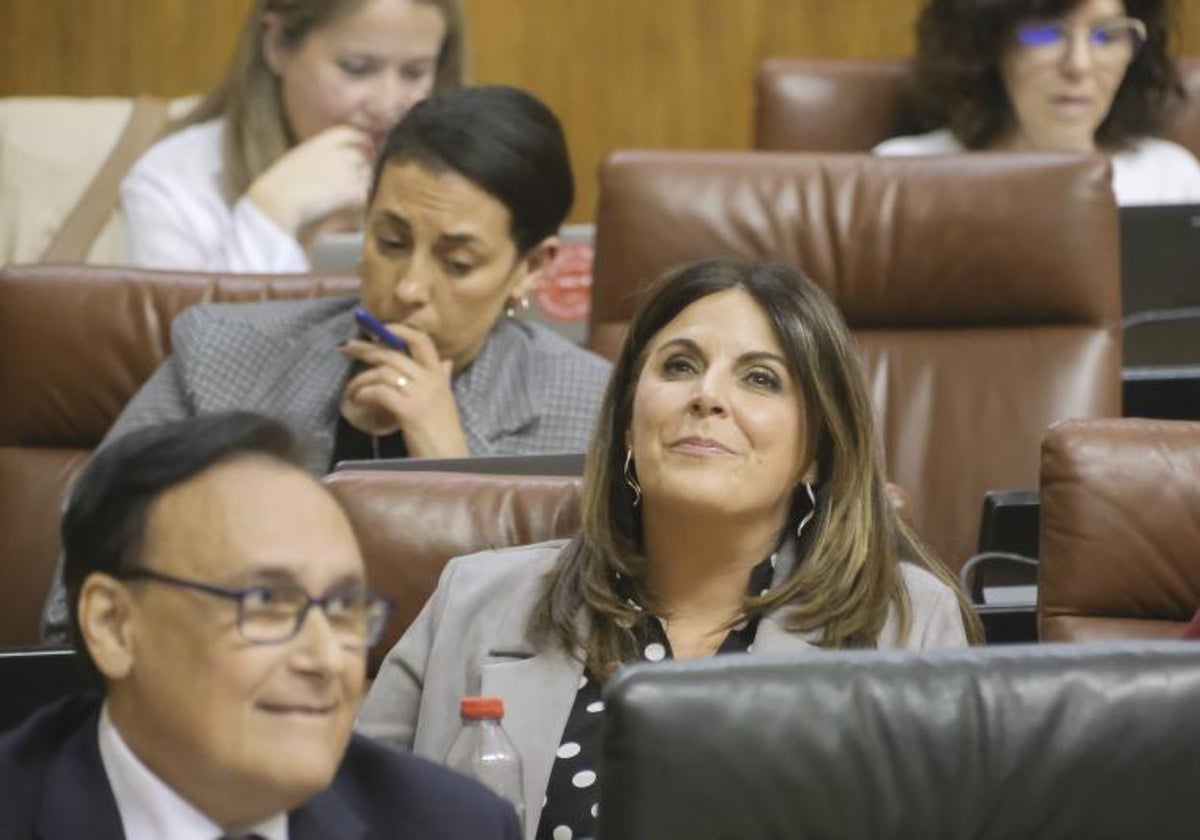 La portavoz socialista, Ángeles Férriz