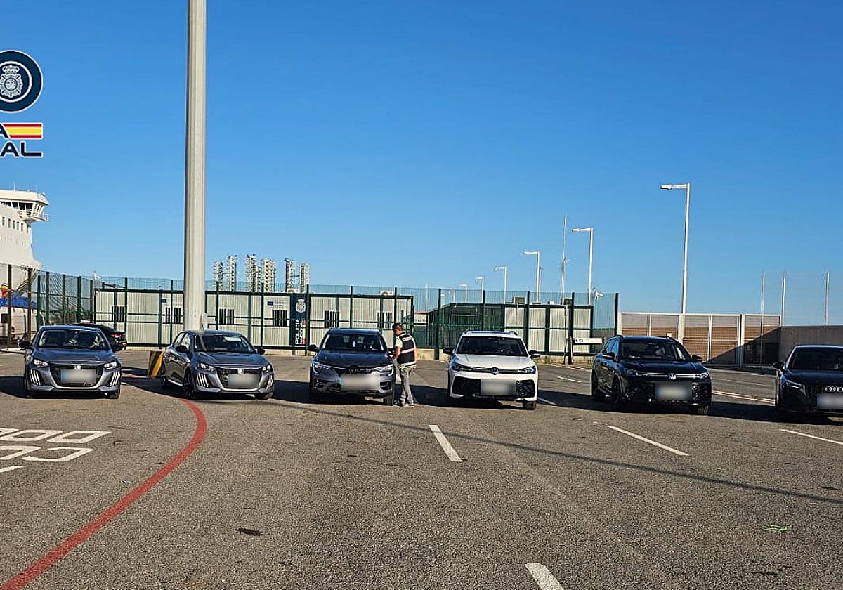 Imagen de los siete vehículos intervenidos por la Policía Nacional en el puerto de Alicante
