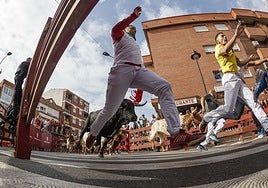 El nuevo decreto de espectáculos taurinos de la Comunidad de Madrid  impide toros embolaos y dañar a las reses