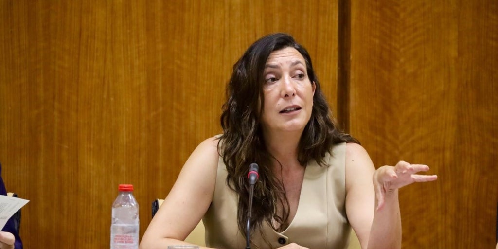 Andalucía rechaza el reparto de menores migrantes tras conocer la cifra: «El sistema está al límite»